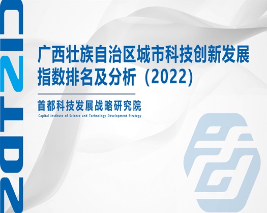 美女操逼水【成果发布】广西壮族自治区城市科技创新发展指数排名及分析（2022）